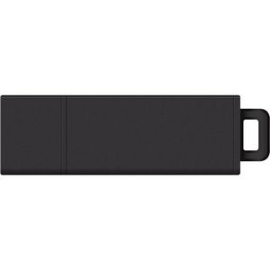 Curry College 32GB DataStick Pro2 USB 3.0 Flash Drive