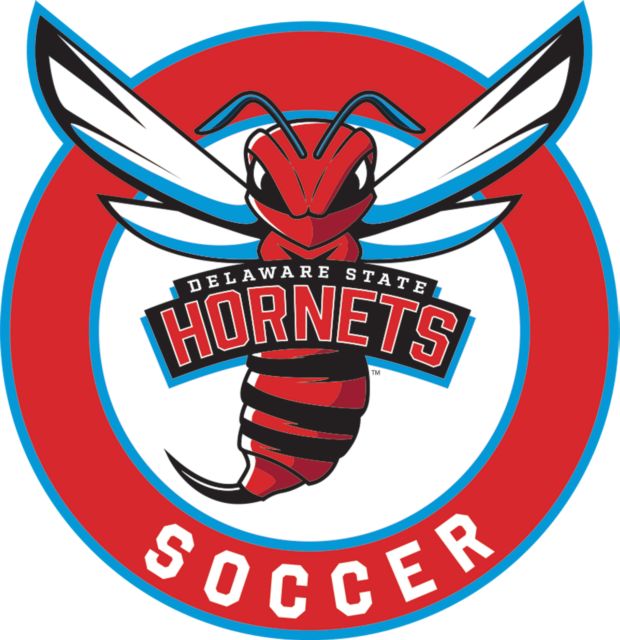 Delaware State Medium Decal Delaware State Soccer - ONLINE ONLY