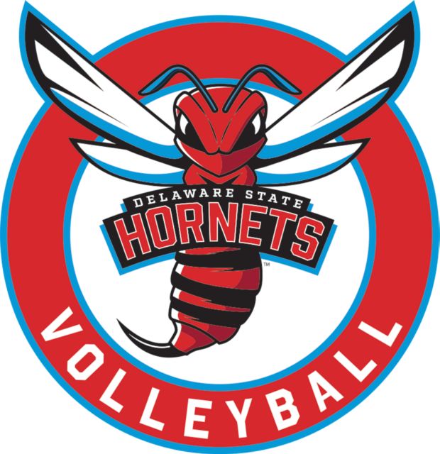 Delaware State Medium Decal Delaware State Volleyball - ONLINE ONLY