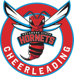 Delaware State Medium Decal Delaware State Cheerleading - ONLINE ONLY