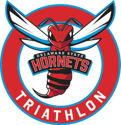 Delaware State Medium Decal Delaware State Triathlon - ONLINE ONLY