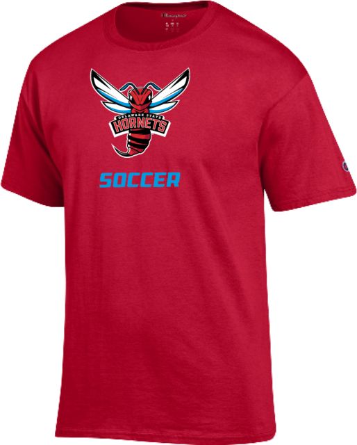 Delaware State Champion T Shirt Delaware State Soccer - ONLINE ONLY