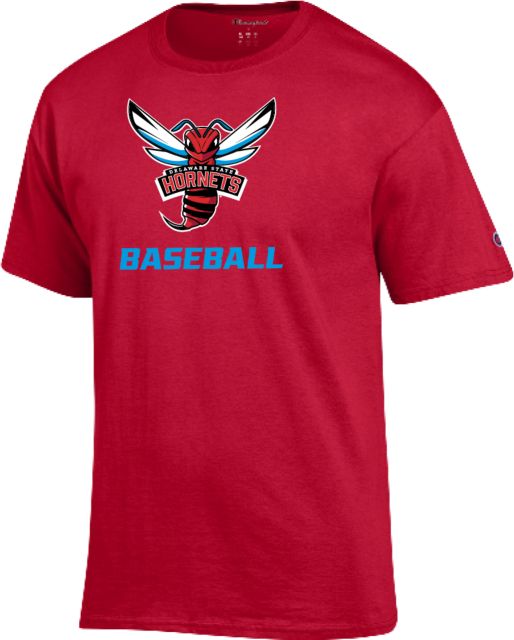 Delaware State Champion T Shirt Delaware State Baseball - ONLINE ONLY