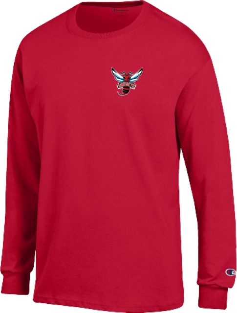 Delaware State Champion Long Sleeve T Shirt Delaware State Primary Athletic Mark - ONLINE ONLY