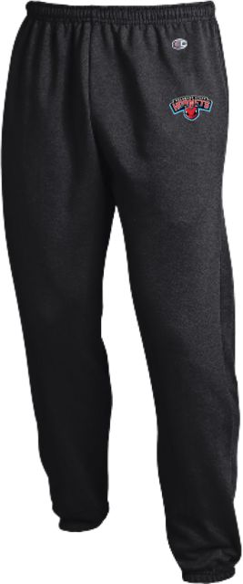 Delaware State Champion Banded Bottom Sweatpants Delaware State Hornet Head Wordmark - ONLINE ONLY