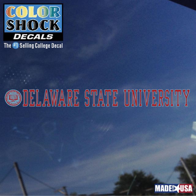Delaware State University Strip Decal