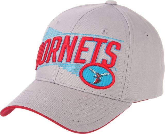 Delaware State University Hornets Adjustable Cap