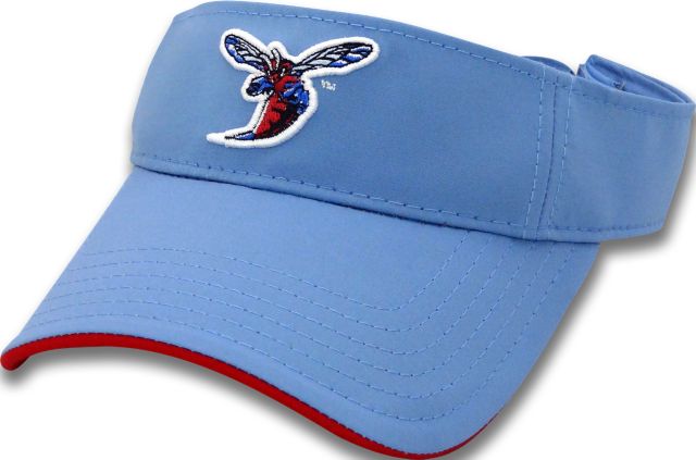 Delaware State University Hornets Visor