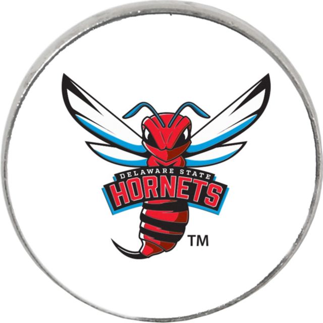 Delaware State University Hornets 3-4 Lapel Pin