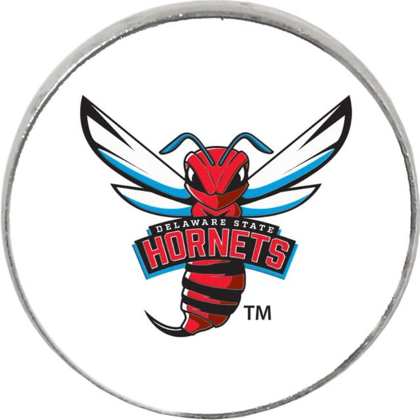Delaware State University Hornets 3-4 Lapel Pin